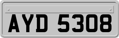 AYD5308