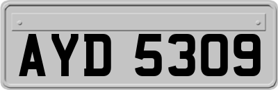 AYD5309
