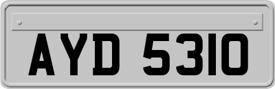 AYD5310