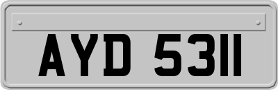 AYD5311