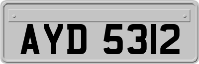 AYD5312