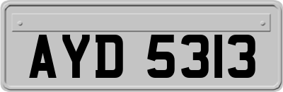AYD5313