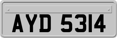 AYD5314