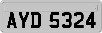 AYD5324