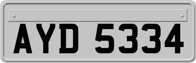 AYD5334