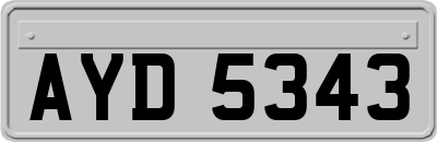 AYD5343