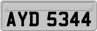 AYD5344