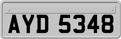 AYD5348