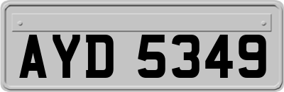 AYD5349
