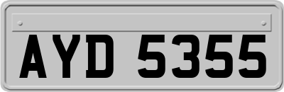 AYD5355