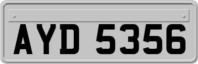 AYD5356