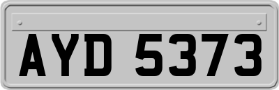 AYD5373