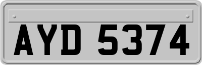AYD5374