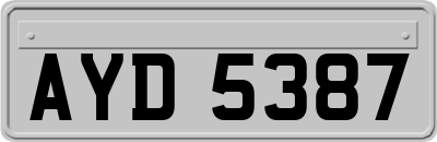 AYD5387