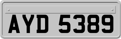 AYD5389