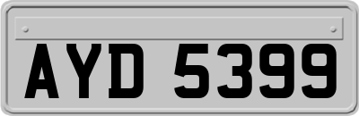 AYD5399