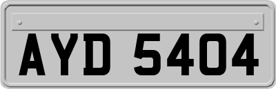 AYD5404
