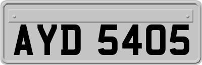 AYD5405