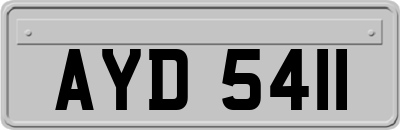 AYD5411