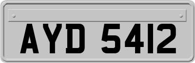 AYD5412