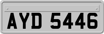 AYD5446