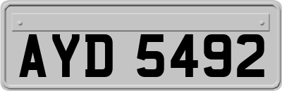 AYD5492