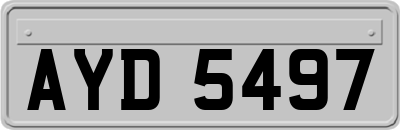 AYD5497