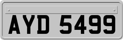 AYD5499