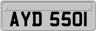 AYD5501