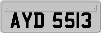 AYD5513