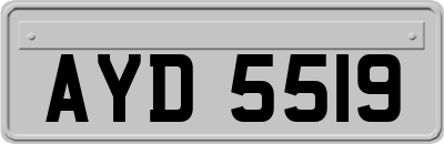 AYD5519