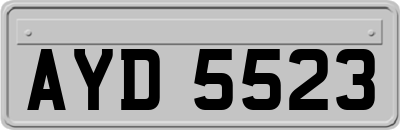 AYD5523