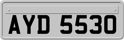 AYD5530