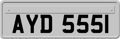 AYD5551