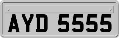 AYD5555