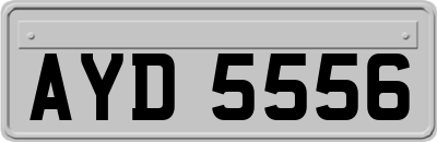 AYD5556