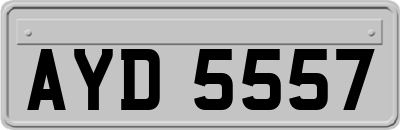 AYD5557