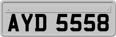 AYD5558
