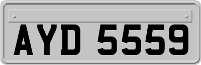 AYD5559