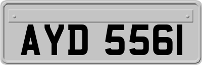 AYD5561
