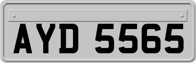 AYD5565