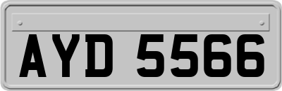 AYD5566