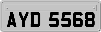 AYD5568