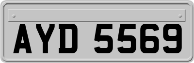 AYD5569