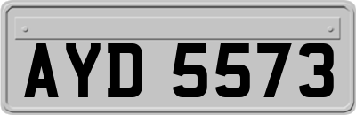 AYD5573