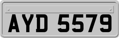 AYD5579