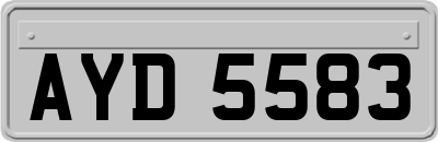 AYD5583