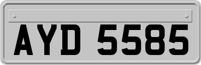 AYD5585
