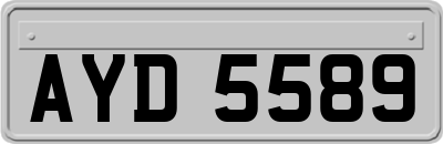 AYD5589