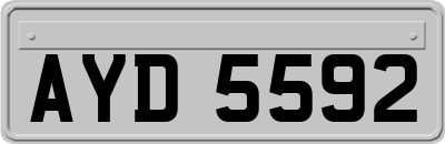 AYD5592